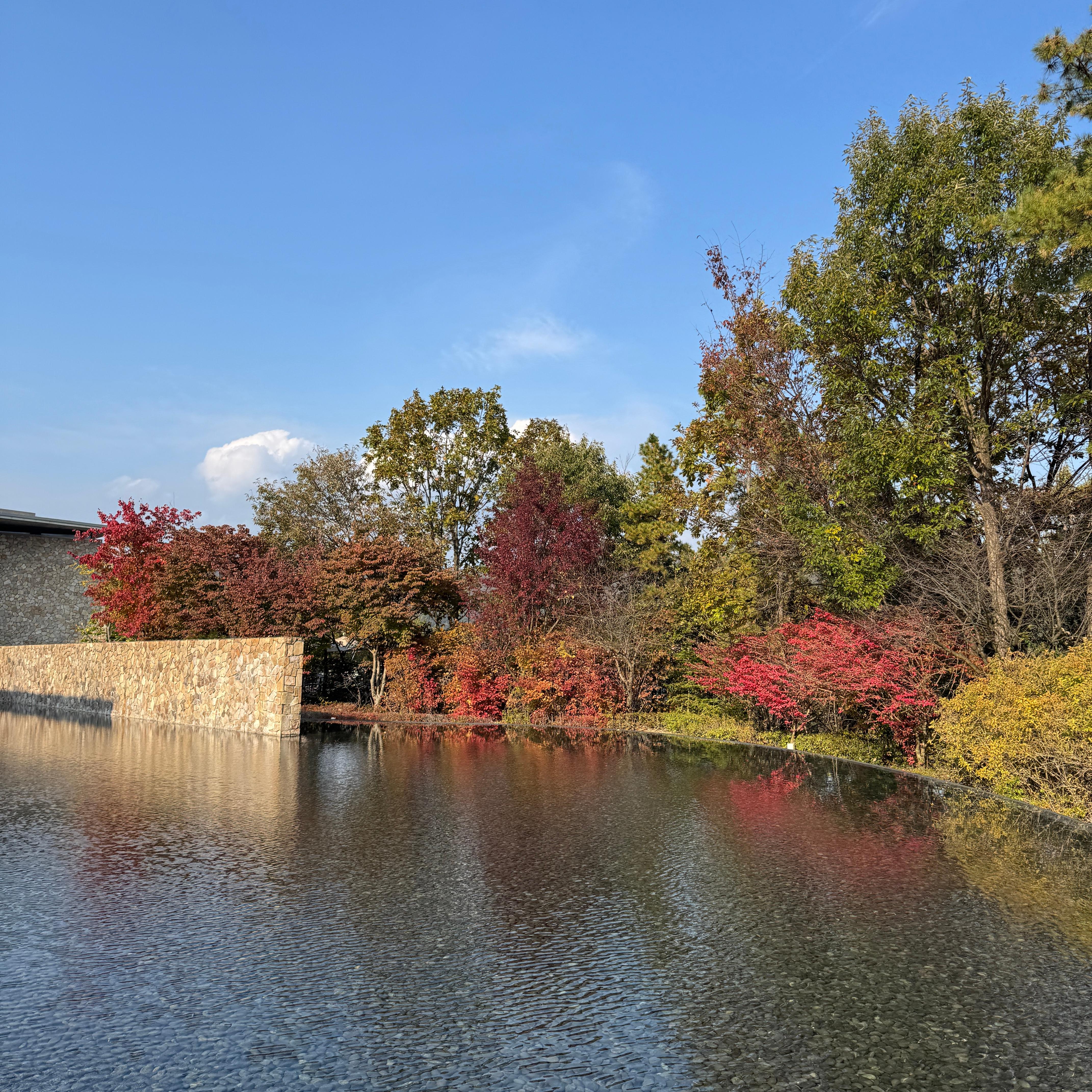 KakaoTalk_20251103_155522832_05.jpg 첨부 이미지